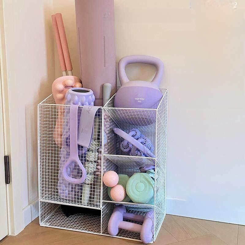 Fitness Sports Equipment Organ - огляд і ціна Sports Equipment Cart